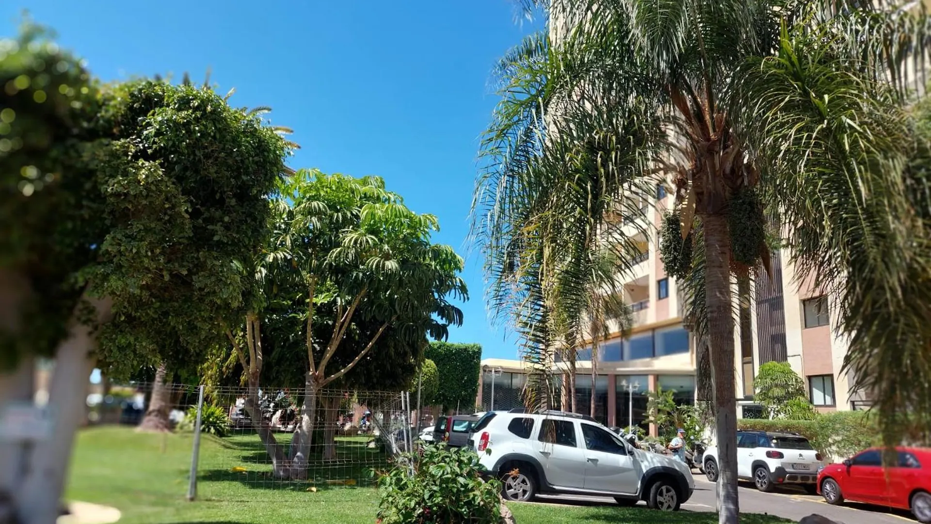 Apartment On The Beach Paraiso Playa, Sea Views Playa Paraiso   Playa Paraiso (Tenerife)